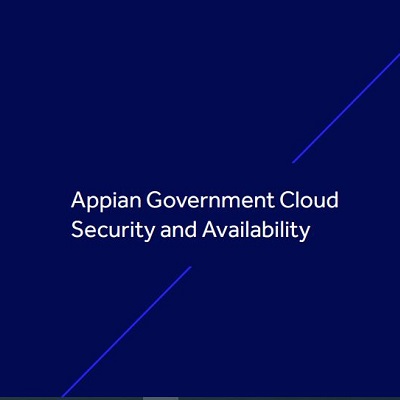 Appian government whitepaper